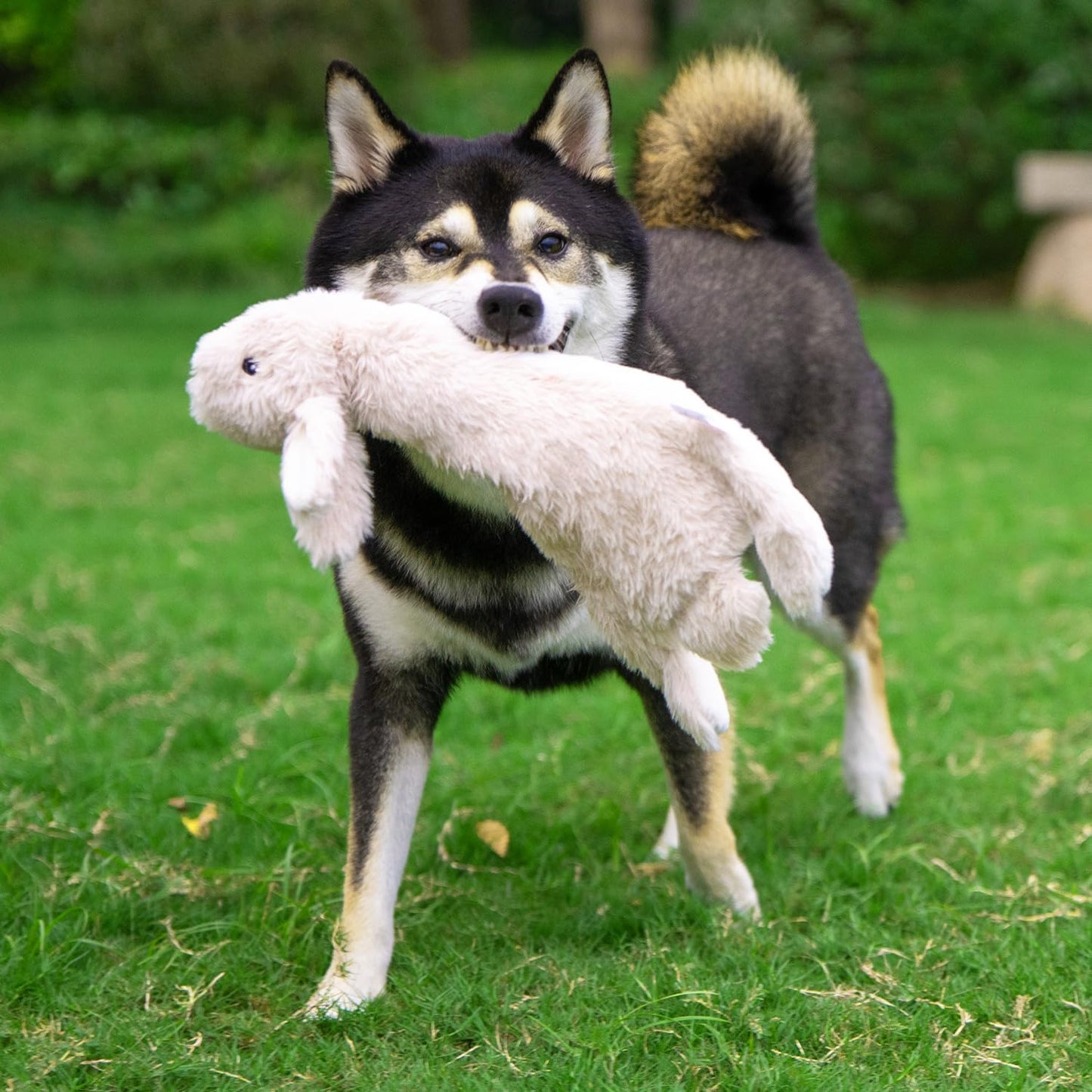 Engaging Premium Squeaky Dog Toy - Ideal for All Breeds, Soft Plush Fabric for Safe Indoor Fun