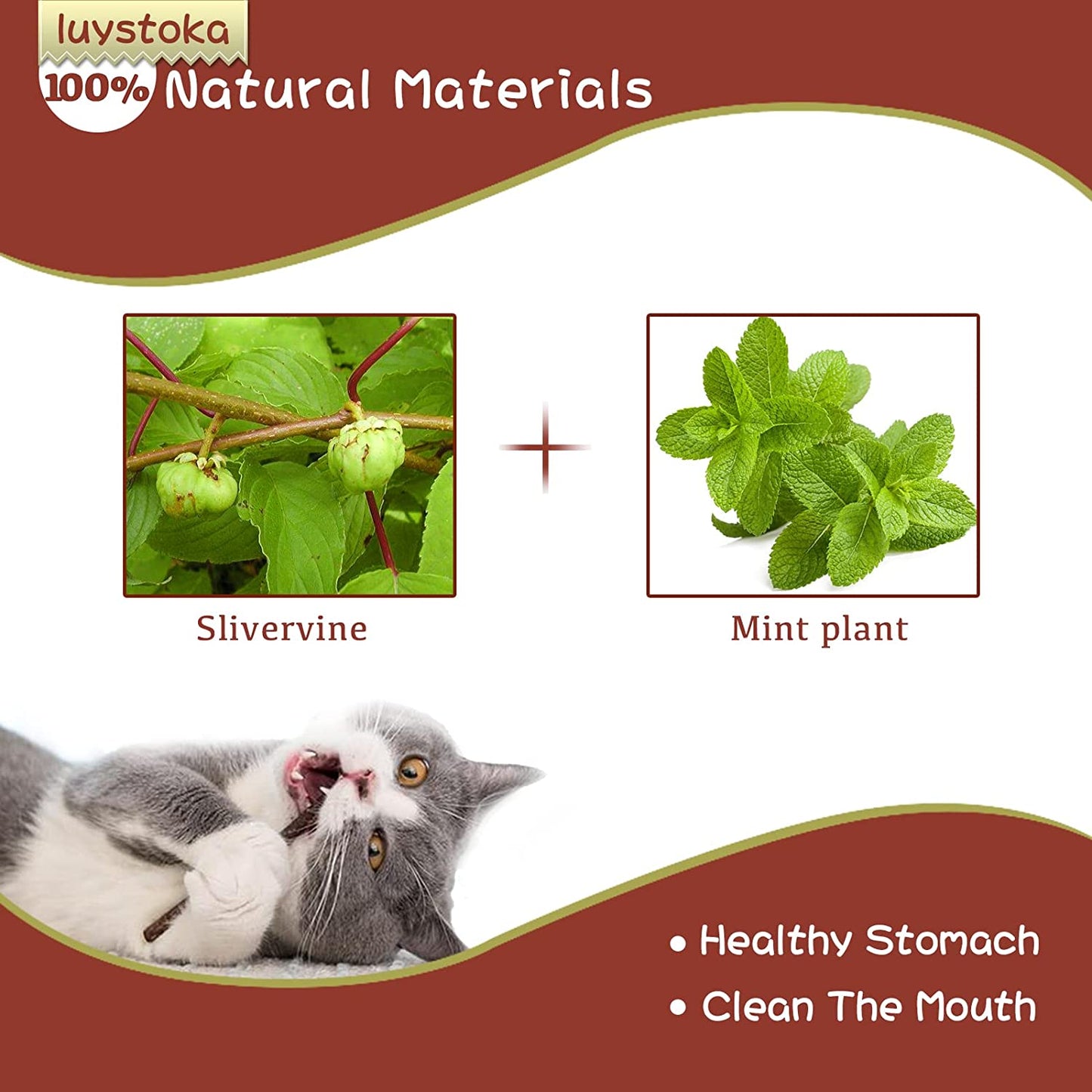 Ultimate Silvervine & Matatabi Catnip Toy Set - 10 Engaging Chew Sticks & Wand Toys for Happy, Healthy Cats!