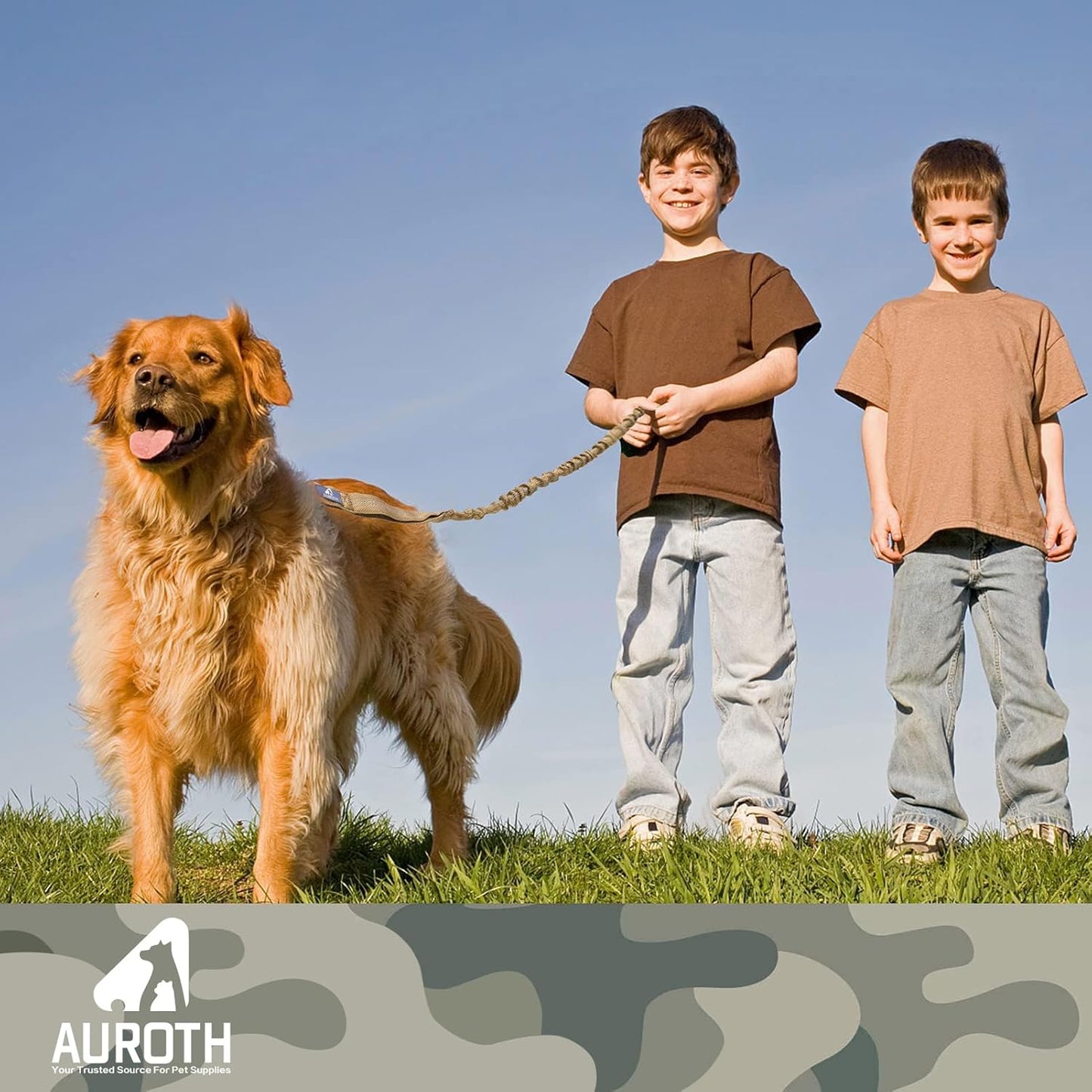 Heavy-Duty Bungee Dog Leash for Medium to Large Breeds, Shock Absorbing No-Pull Design with Car Seat Belt, Dual Padded Handles, Available in 4.5FT and 6FT Lengths