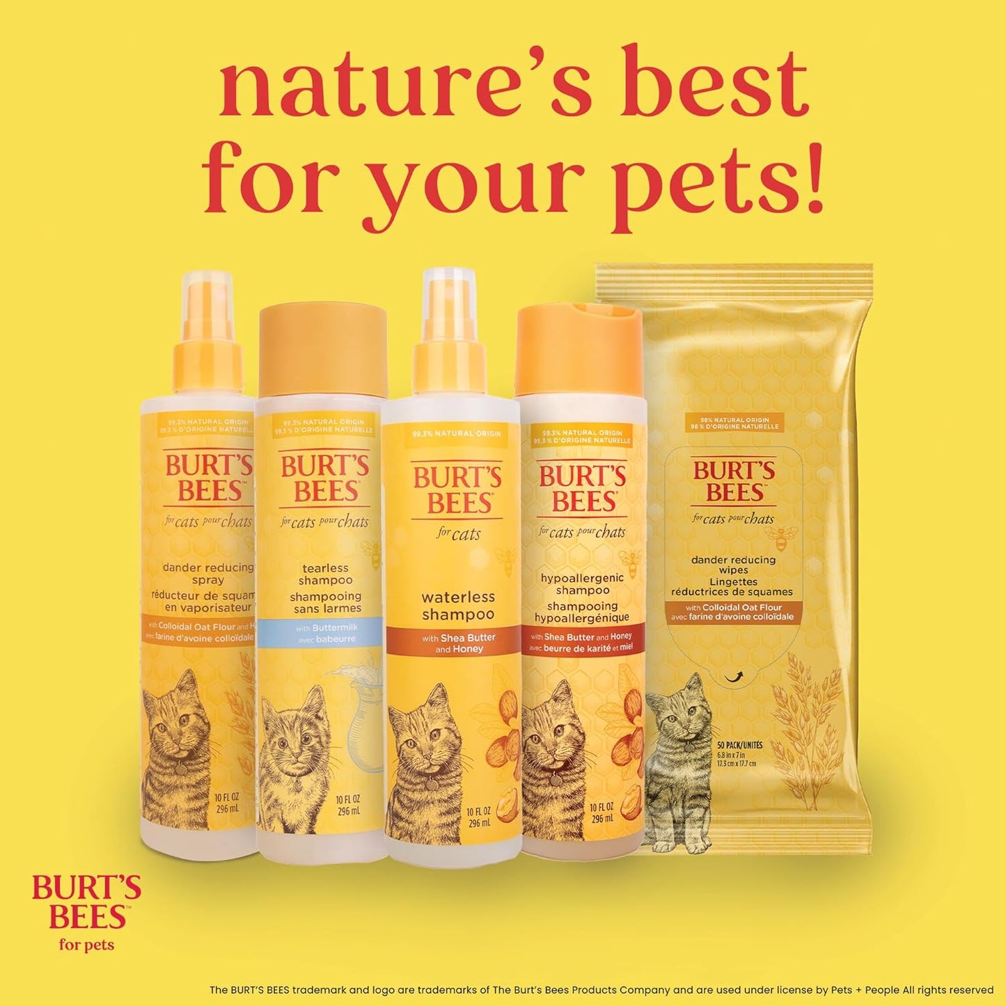 Hypoallergenic Cat Shampoo with Shea Butter and Honey, Gentle Kitten Shampoo for Indoor Cats with Dry or Sensitive Skin, Cat Bathing Supplies, 10 Fl Oz - 2 Pack