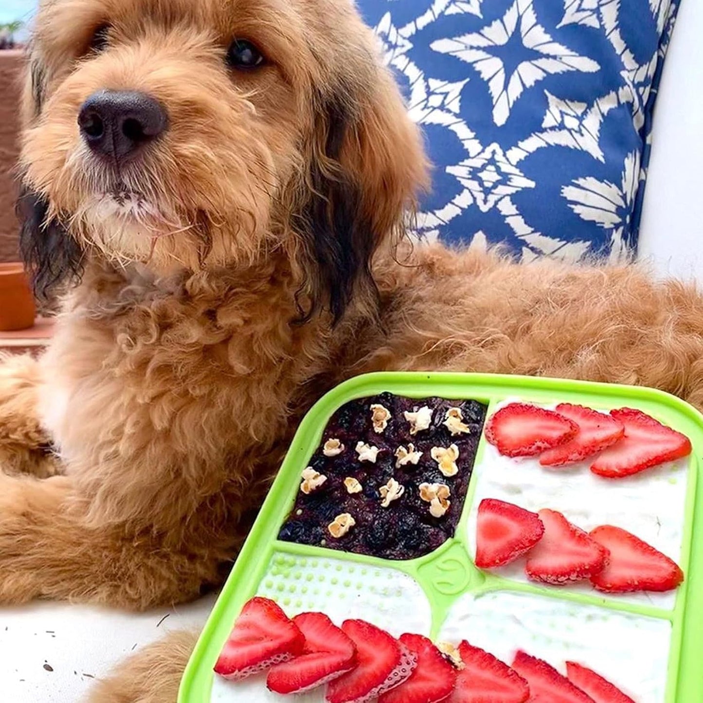 IQ Treat Lick Mat for Dogs and Cats - Innovative Slow Feeder and Enrichment Toy Alternative to Traditional Bowls