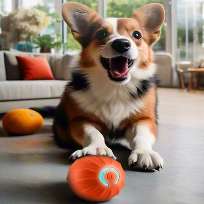 Interactive Smart Jumping Ball for Dogs - Automatic Bouncing Toy for Endless Fun - Perfect Gift for Small & Medium Pets!