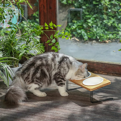 Elevated Tilted Ceramic Cat Bowls with Bamboo Stand - Perfect Feeder Set for Cats and Small Dogs