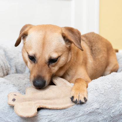 Dura-Fused Squirrel Dog Toy - Durable Leather & Jute Fabric for Small to Medium Chewers, Interactive Fun with Built-in Squeaker