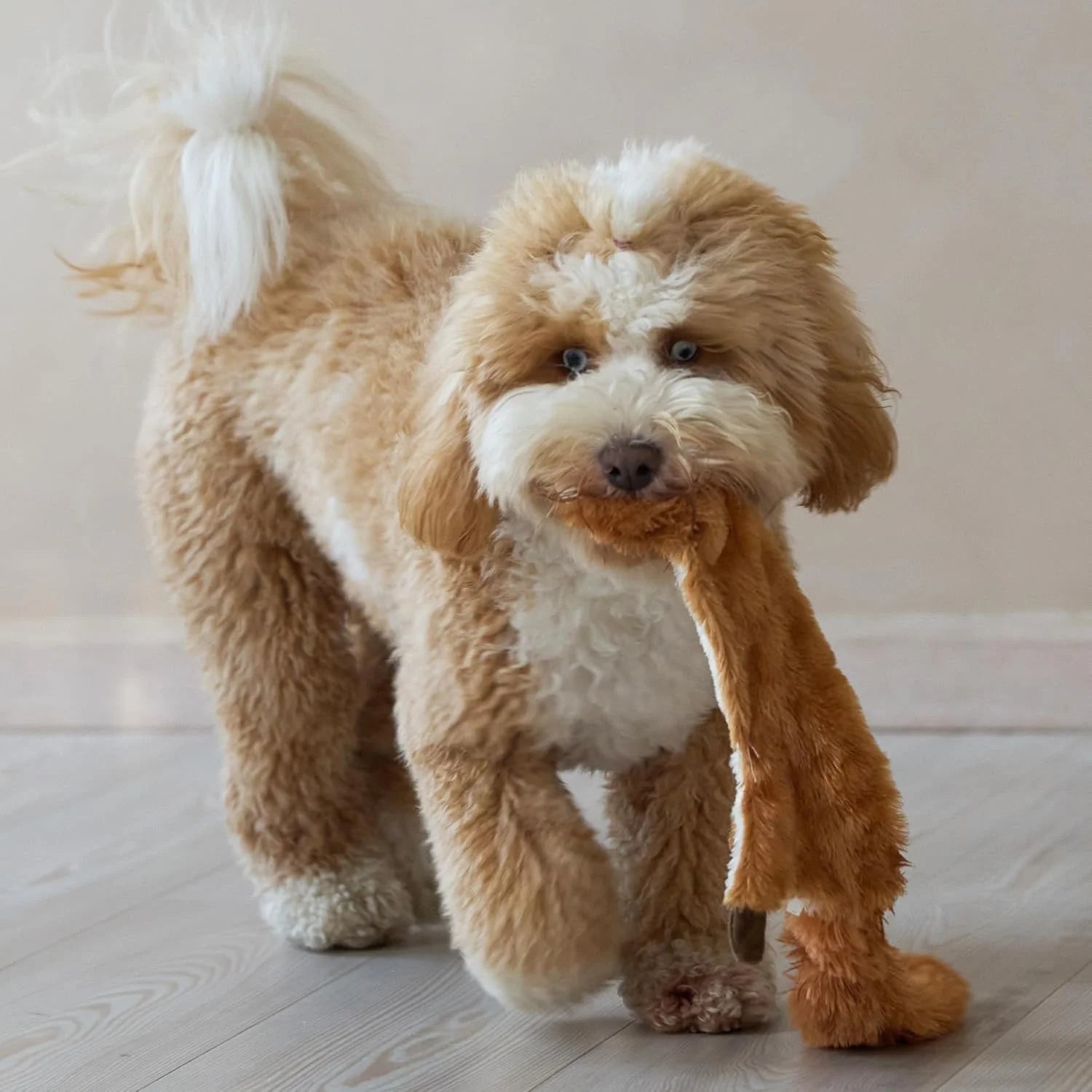 SPOT Skinneez Squirrel Dog Toy - Durable No Stuffing Design for Medium & Large Dogs, Perfect for Tug, Fetch & Shake Play, 23 Inches