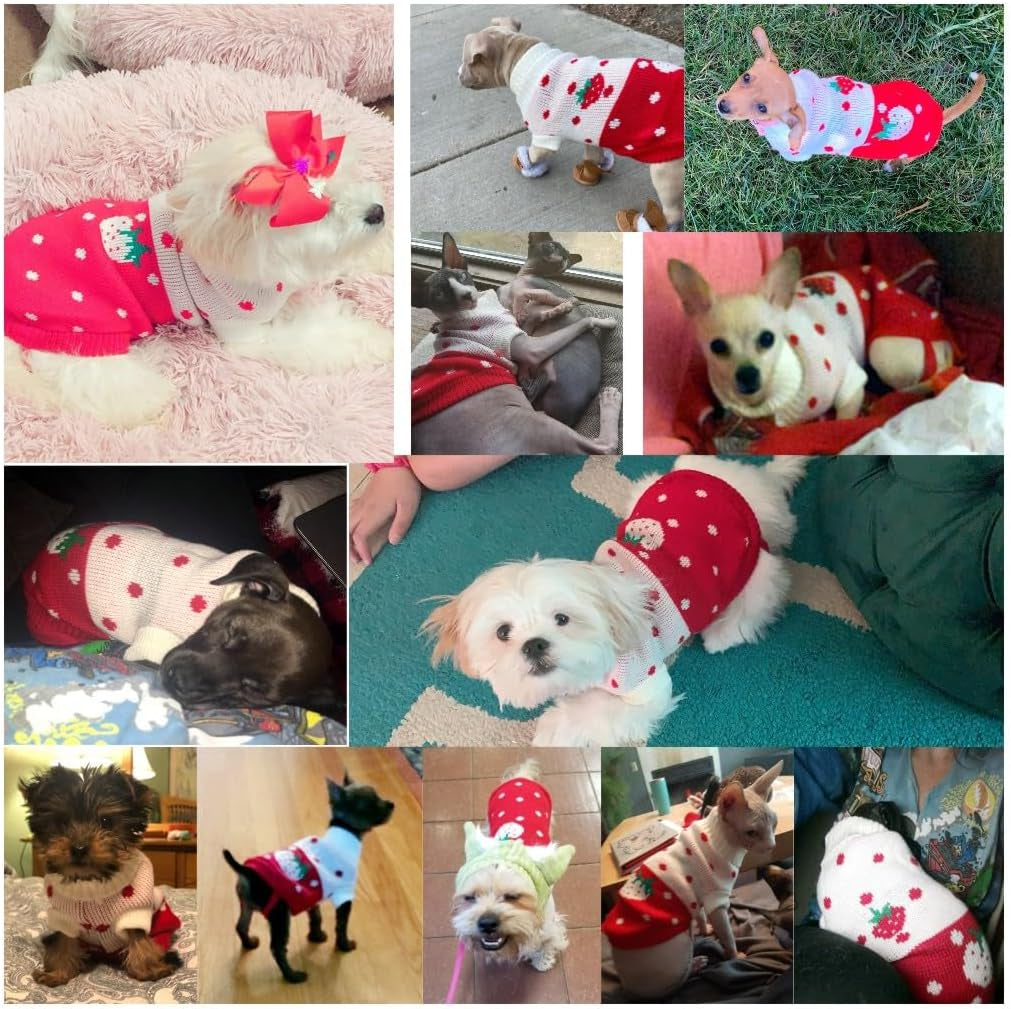 Pet Dog Sweaters Classic Knitwear Turtleneck Winter Warm Puppy Clothing Cute Strawberry and Heart Doggie Sweater (Red1, Xx-Small)