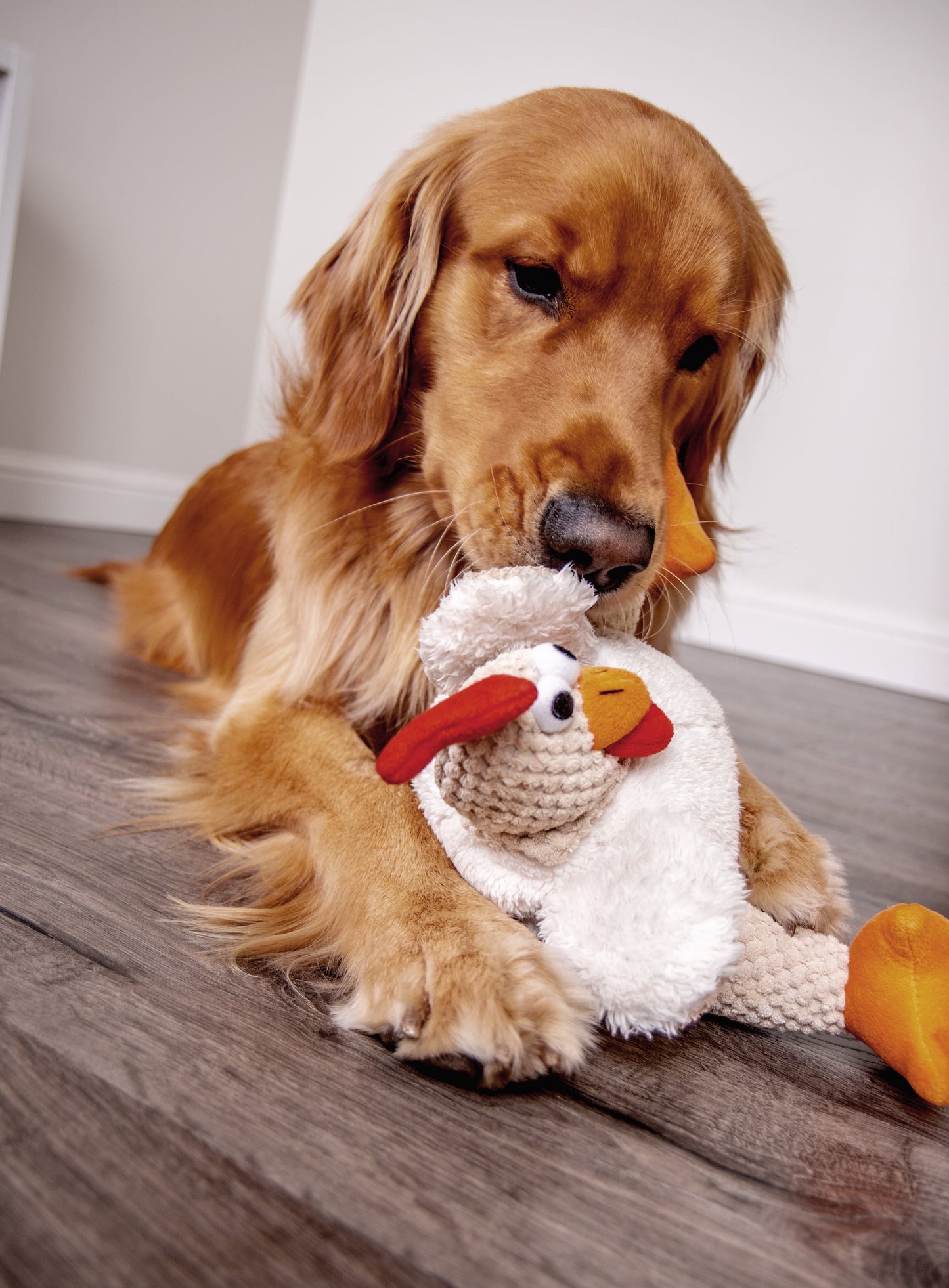 Checkers Fat Rooster Squeaky Plush Dog Toy, Chew Guard Technology - White Large