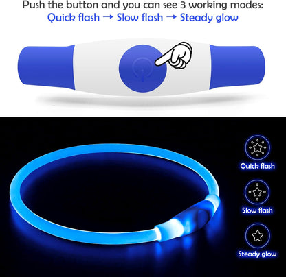 USB Rechargeable LED Dog Collar - Illuminated Safety Necklace for Small, Medium, and Large Dogs (Blue)