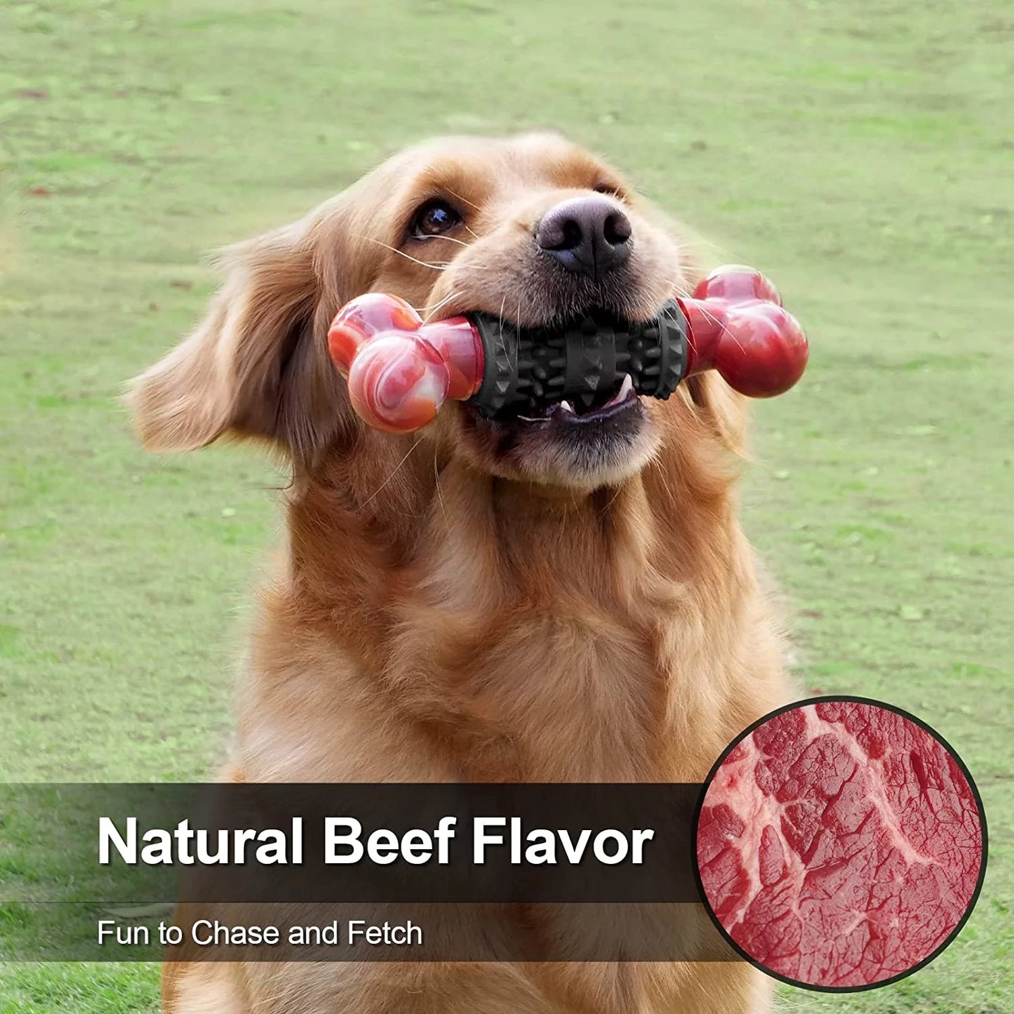 Indestructible Dog Bone Toy for Aggressive Chewers - Interactive Chew Toy for Large & Medium Dogs by Dinosam