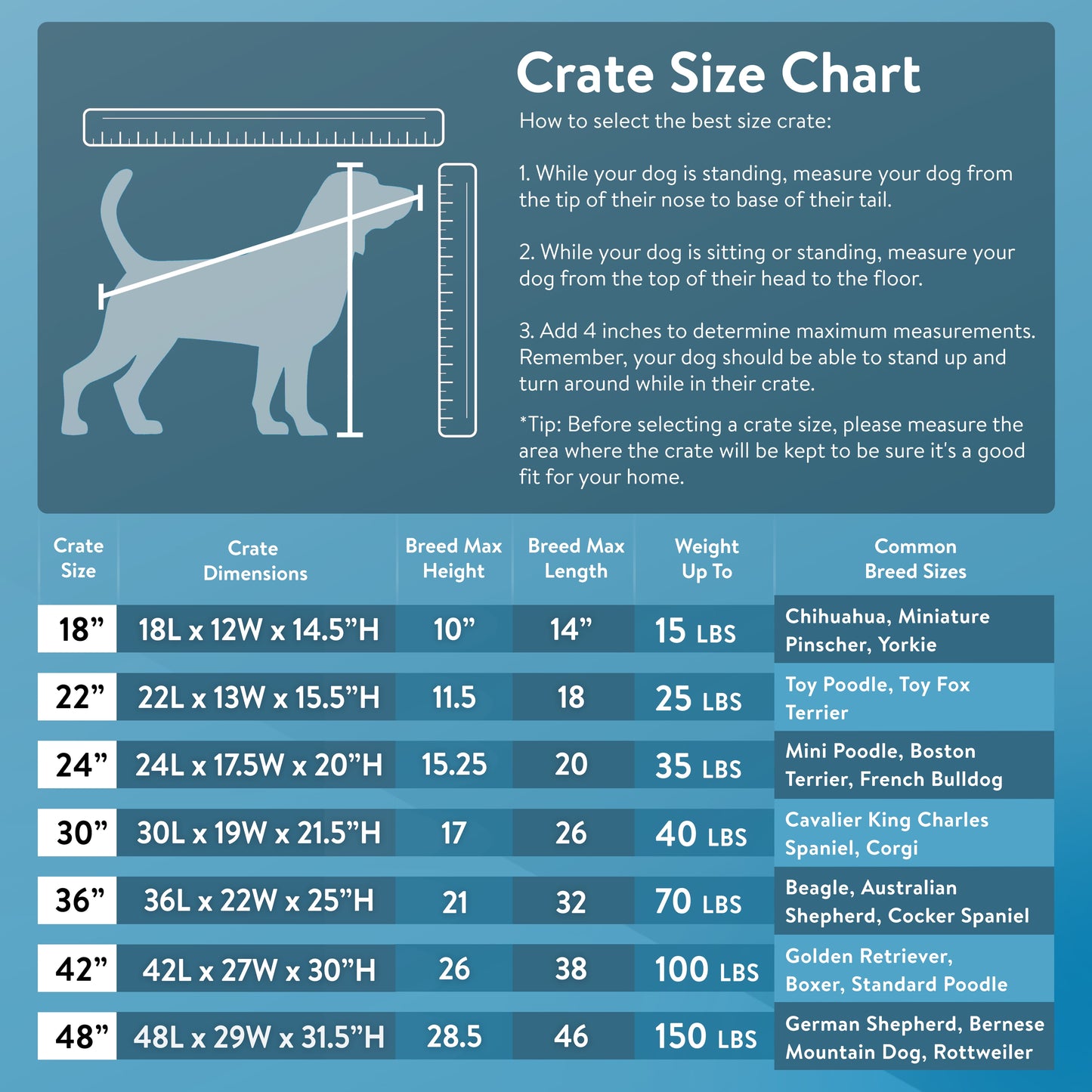 Premium Foldable 48" Dog Wire Crate with Divider & Leak-Proof Tray - Perfect for Training & Travel