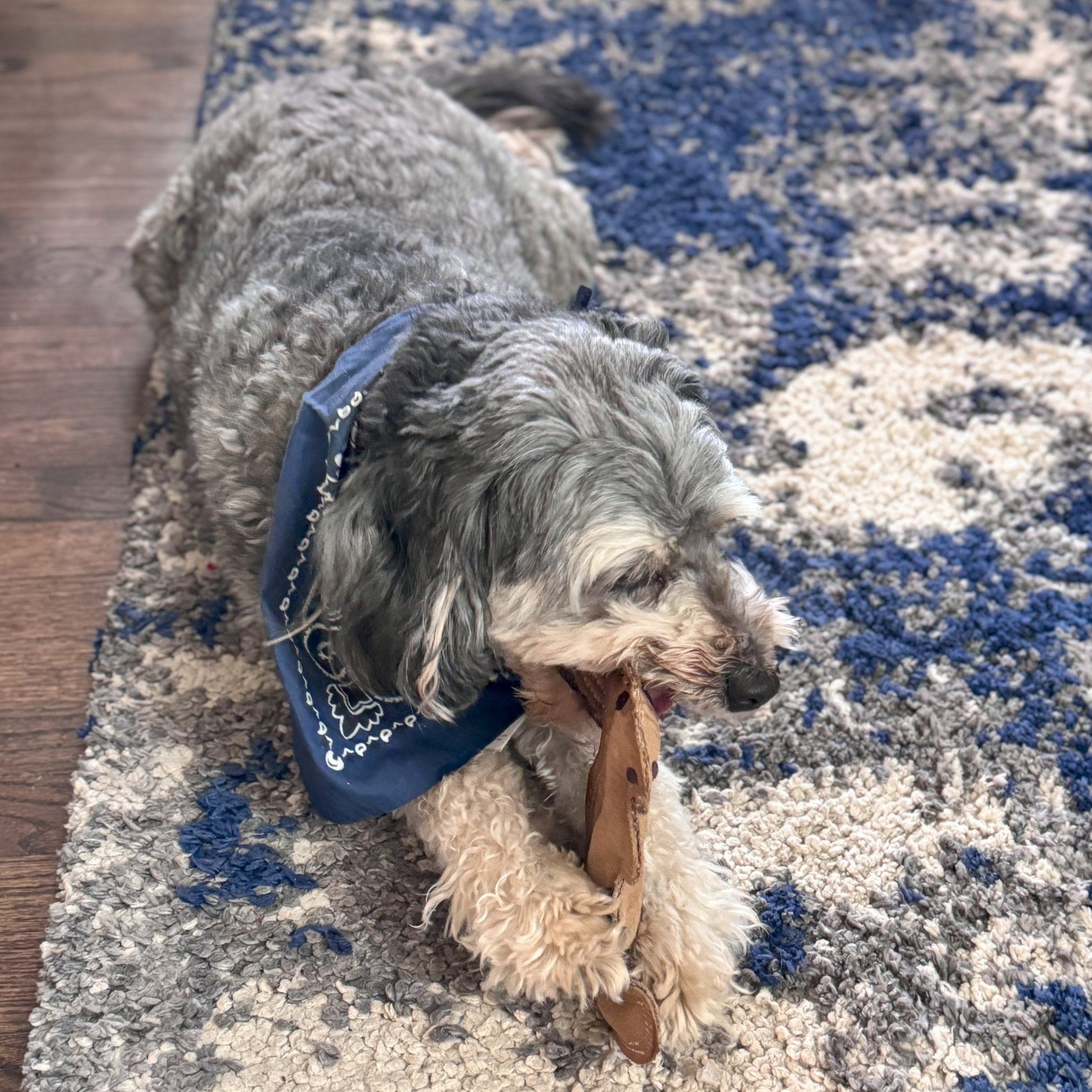 Dura-Fused Squirrel Dog Toy - Durable Leather & Jute Fabric for Small to Medium Chewers, Interactive Fun with Built-in Squeaker