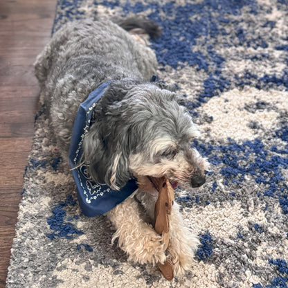Dura-Fused Squirrel Dog Toy - Durable Leather & Jute Fabric for Small to Medium Chewers, Interactive Fun with Built-in Squeaker