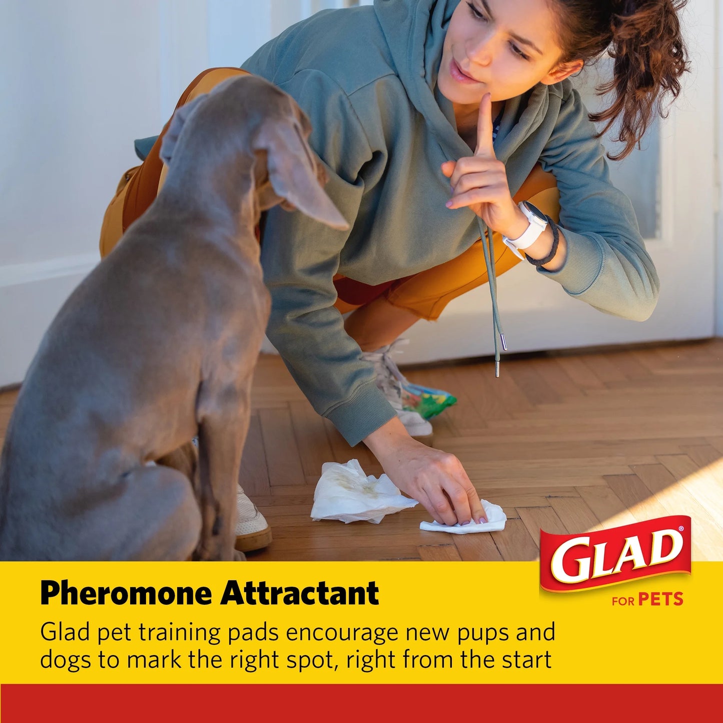 Giant Size Activated Charcoal Leak-Resistant Training Pads for Dogs, 30X36, 24 Count