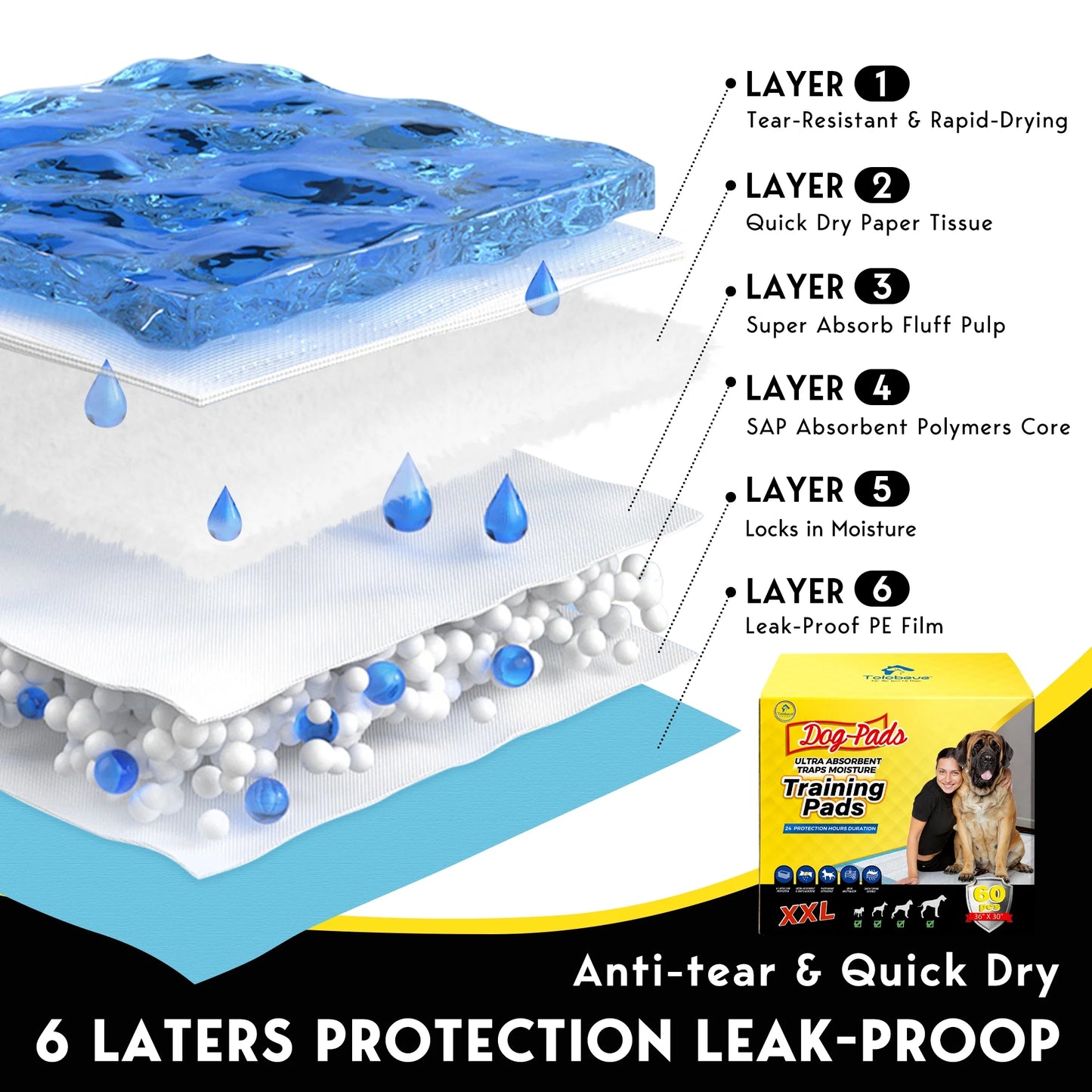 Dog Training Pads, XXL, 30 in X 36 In, 60 Count Disposable Dog Puppy Pee Pads