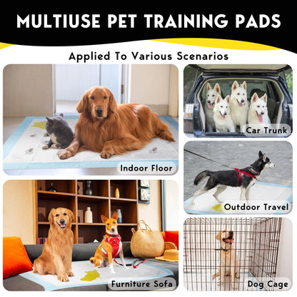 Dog Training Pads, XXL, 30 in X 36 In, 60 Count Disposable Dog Puppy Pee Pads