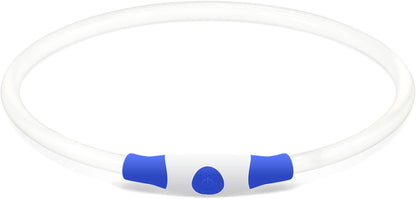 USB Rechargeable LED Dog Collar - Illuminated Safety Necklace for Small, Medium, and Large Dogs (Blue)