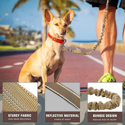 Heavy-Duty Bungee Dog Leash for Medium to Large Breeds, Shock Absorbing No-Pull Design with Car Seat Belt, Dual Padded Handles, Available in 4.5FT and 6FT Lengths
