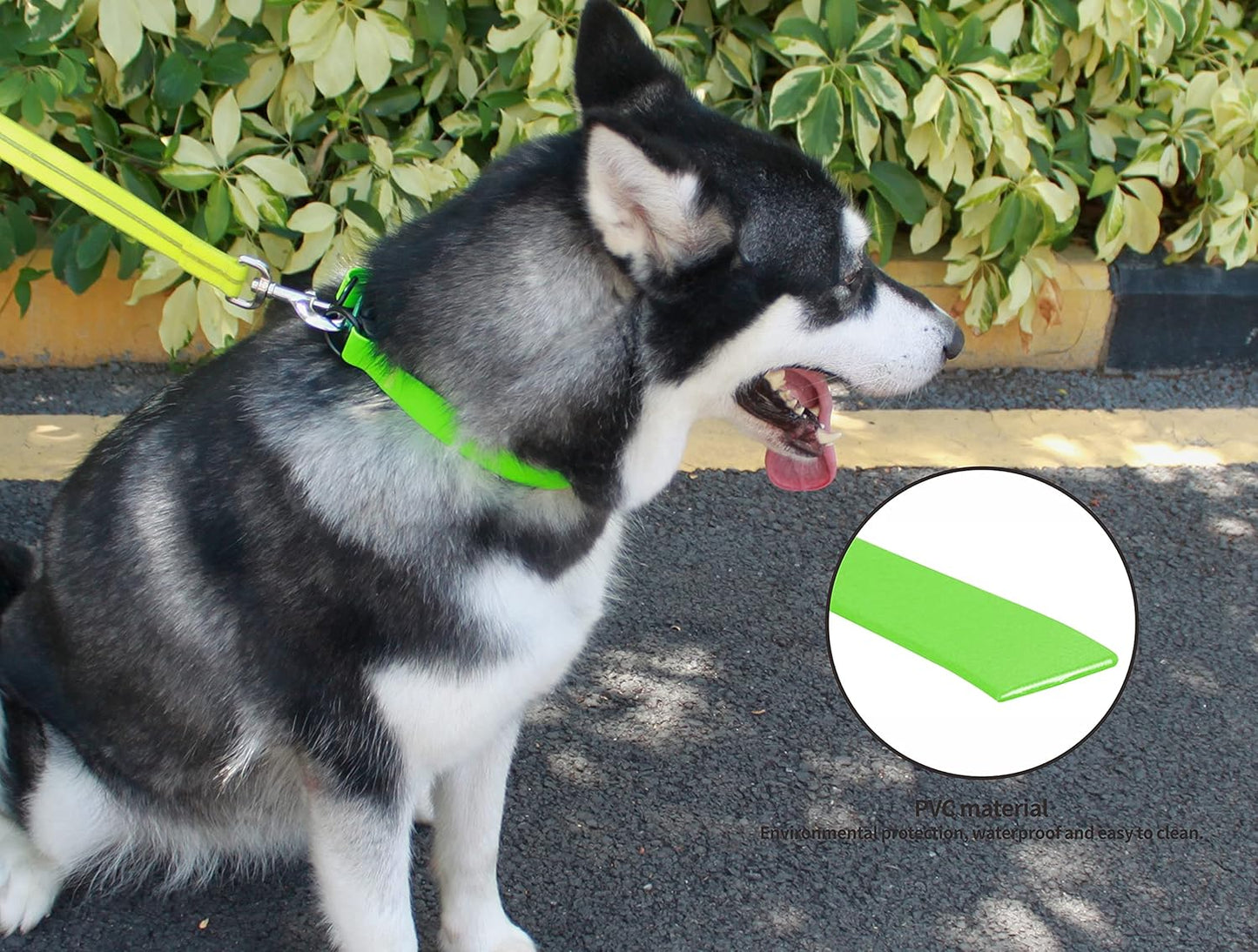 Waterproof Adjustable Dog Collars for Small, Medium, and Large Breeds - Easy to Clean (Green, Size S)