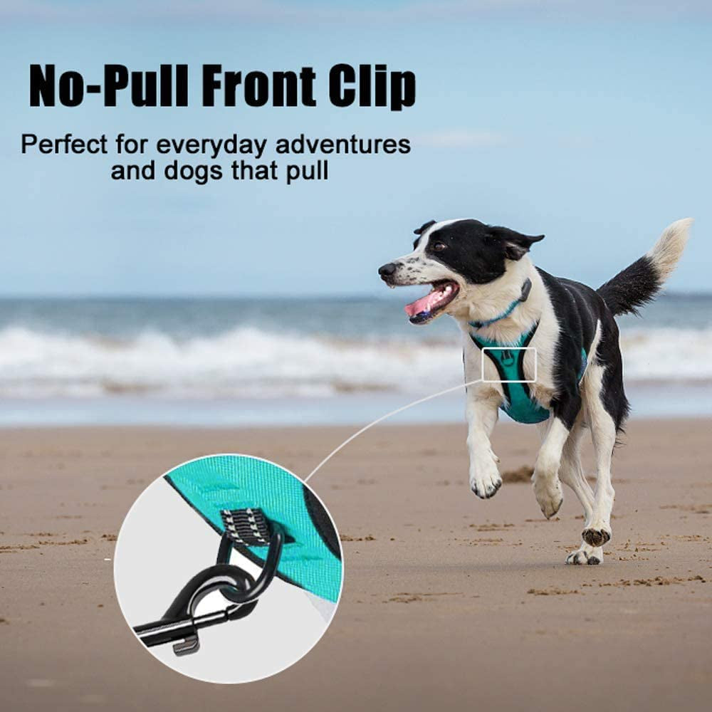 Reflective No-Pull Dog Harness - Adjustable Soft Padded Vest with Front and Back Leash Attachments and Control Handle for Small to Large Dogs (Mint Blue, Medium)