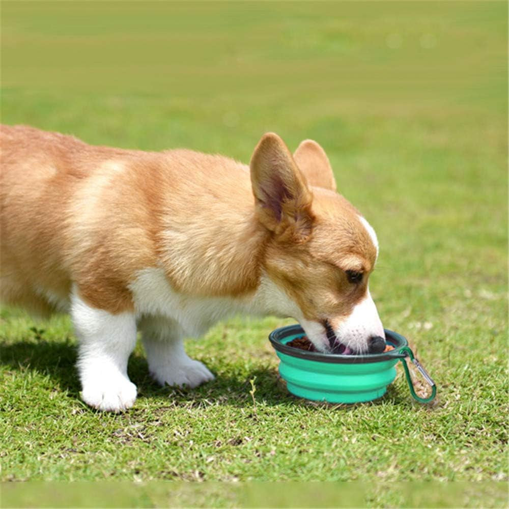 Travel-Friendly Collapsible Pet Bowls - 2 Pack Silicone Feeders for Dogs & Cats, Perfect for Food & Water on the Go (Light Blue & Light Green)