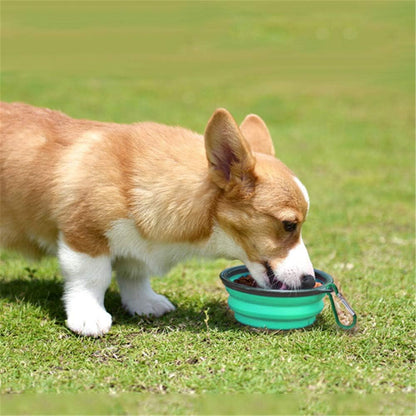 Travel-Friendly Collapsible Pet Bowls - 2 Pack Silicone Feeders for Dogs & Cats, Perfect for Food & Water on the Go (Light Blue & Light Green)