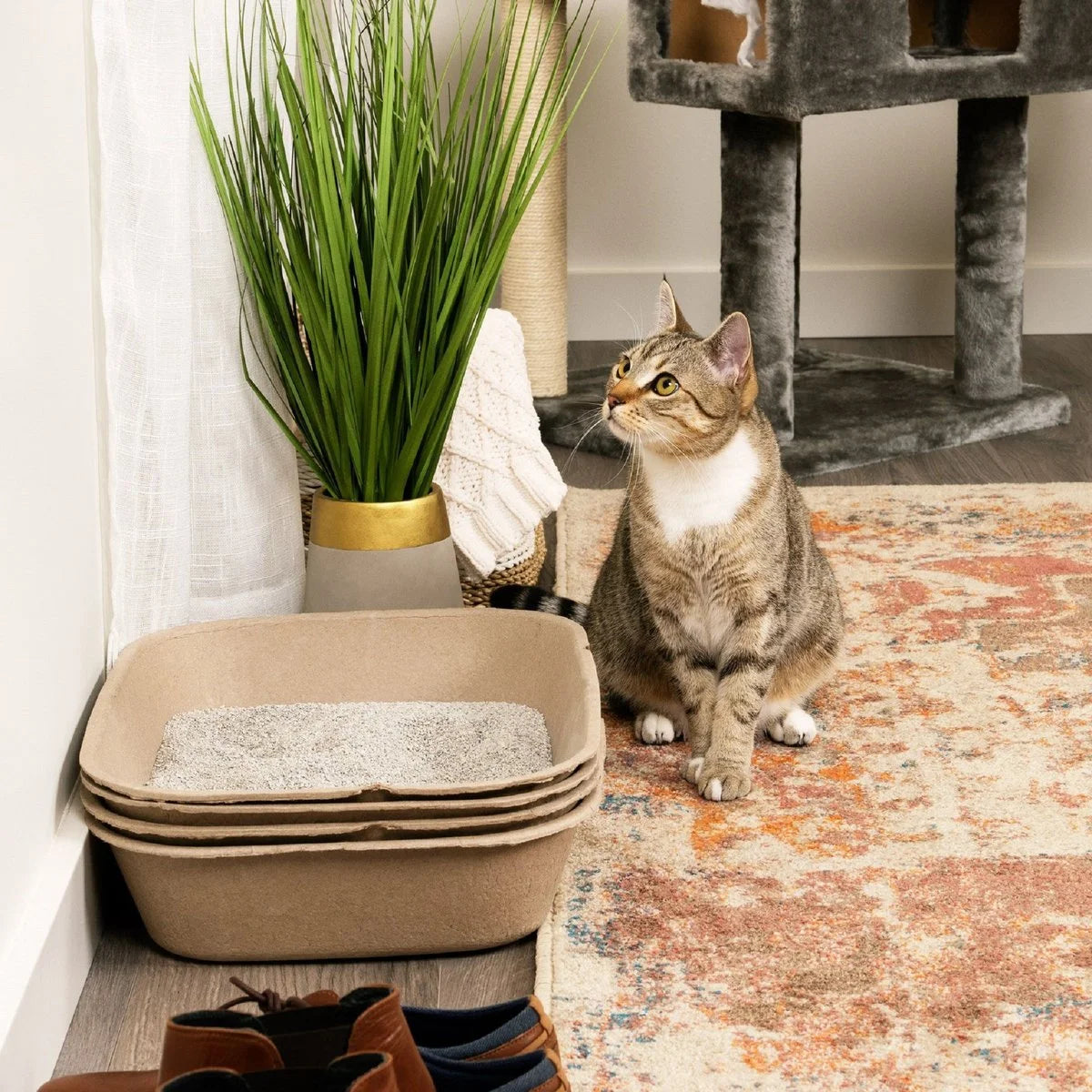 Eco-Friendly Large Cat Litter Box Sifter with Scoop - 6 Pack for Effortless Cleanup!