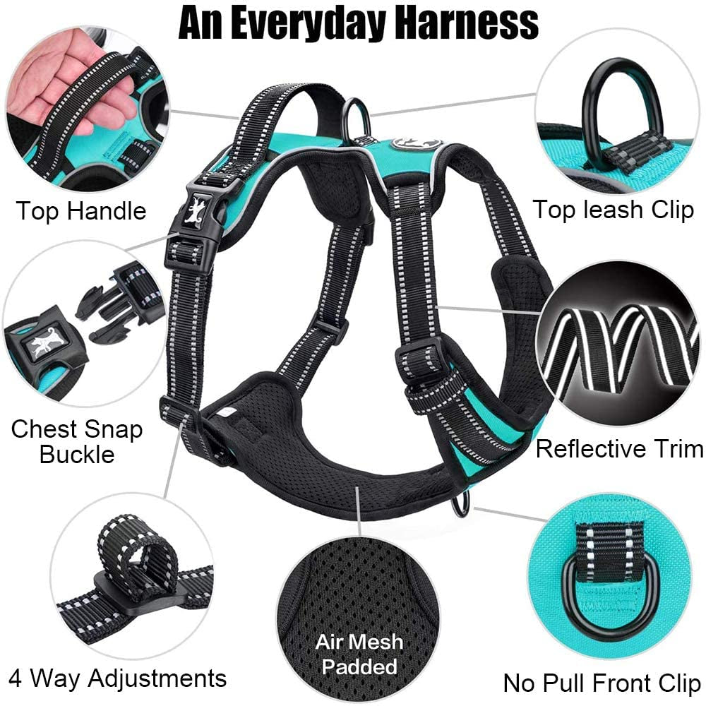Reflective No-Pull Dog Harness - Adjustable Soft Padded Vest with Front and Back Leash Attachments and Control Handle for Small to Large Dogs (Mint Blue, Medium)