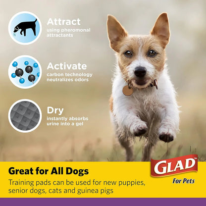 Jumbo Leak Resistant Activated Carbon Training Pads for Large Breed Dogs, 28In X 30In, 50 Count