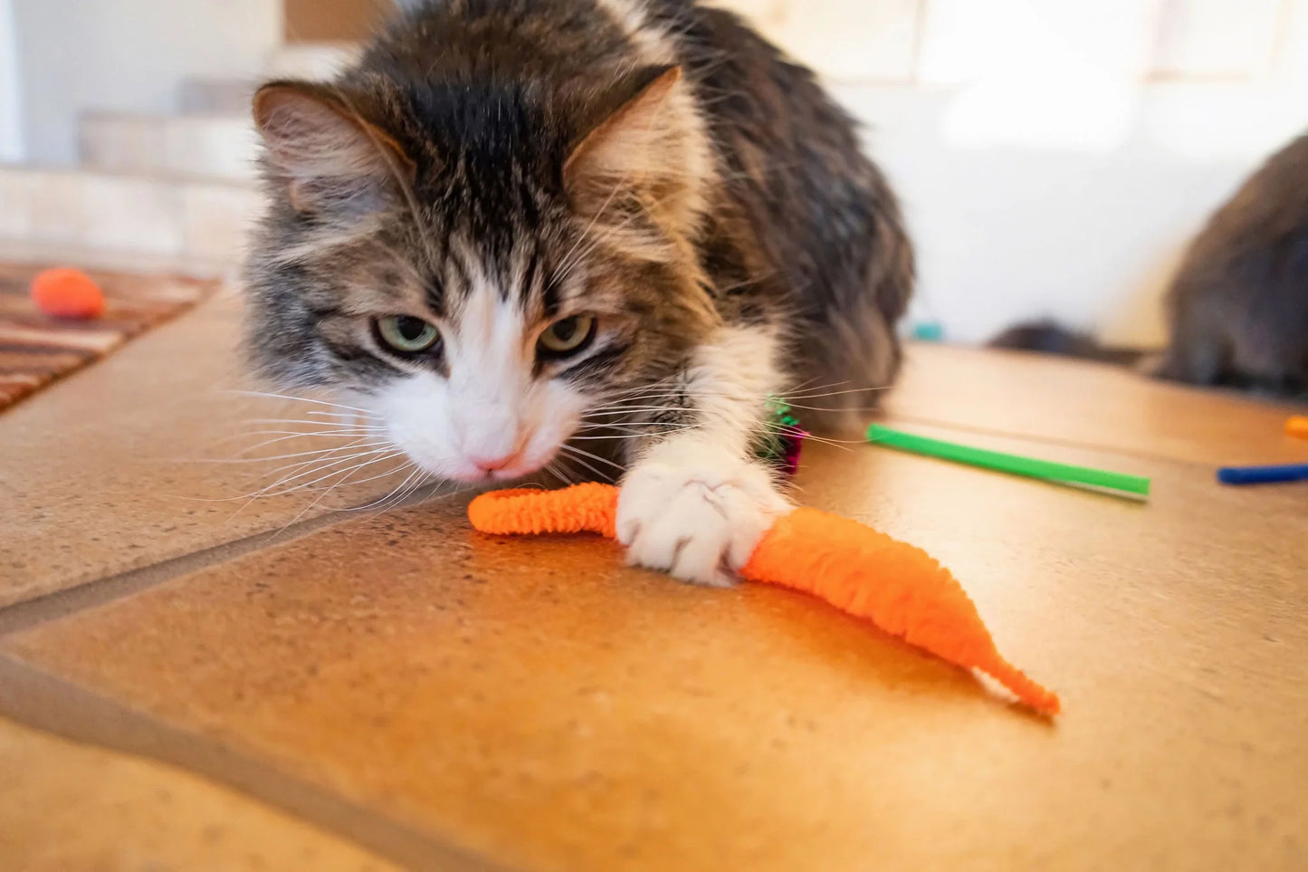 Ultimate 24-Piece Cat Toy Collection for Unmatched Feline Entertainment!