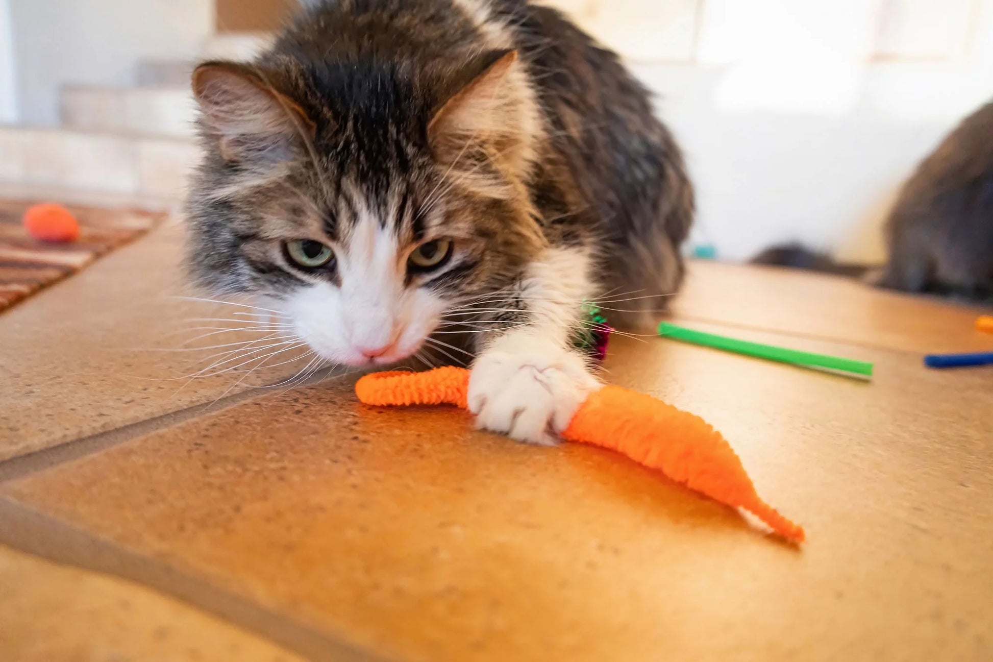 Ultimate 24-Piece Cat Toy Collection for Unmatched Feline Entertainment!