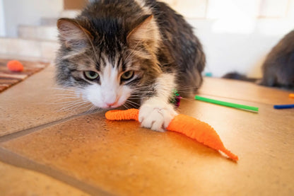 Ultimate 24-Piece Cat Toy Collection for Unmatched Feline Entertainment!