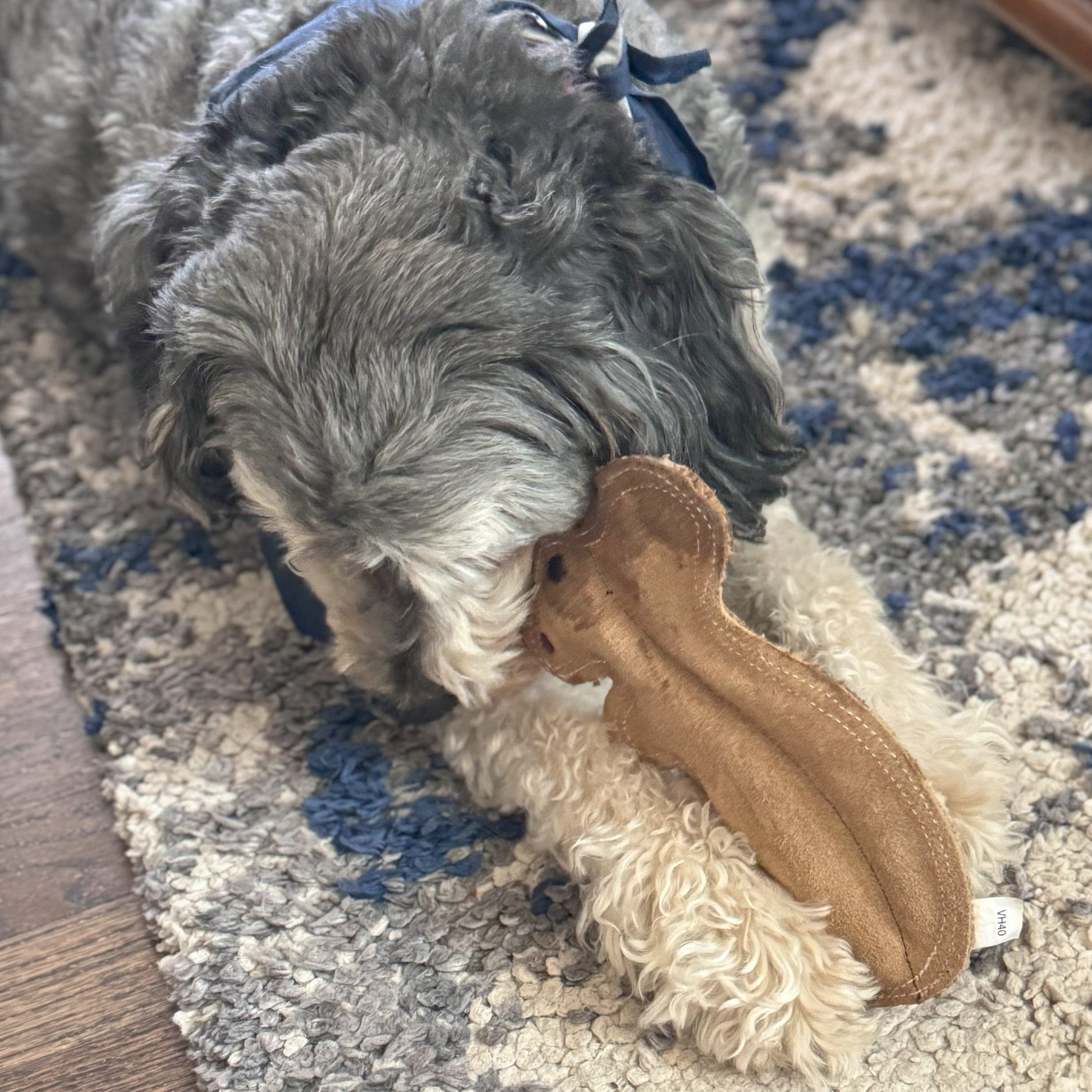 Dura-Fused Squirrel Dog Toy - Durable Leather & Jute Fabric for Small to Medium Chewers, Interactive Fun with Built-in Squeaker