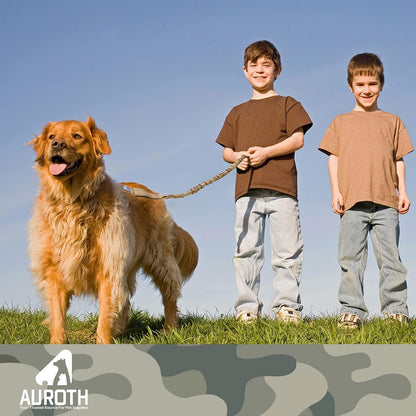 Heavy-Duty Bungee Dog Leash for Medium to Large Breeds, Shock Absorbing No-Pull Design with Car Seat Belt, Dual Padded Handles, Available in 4.5FT and 6FT Lengths