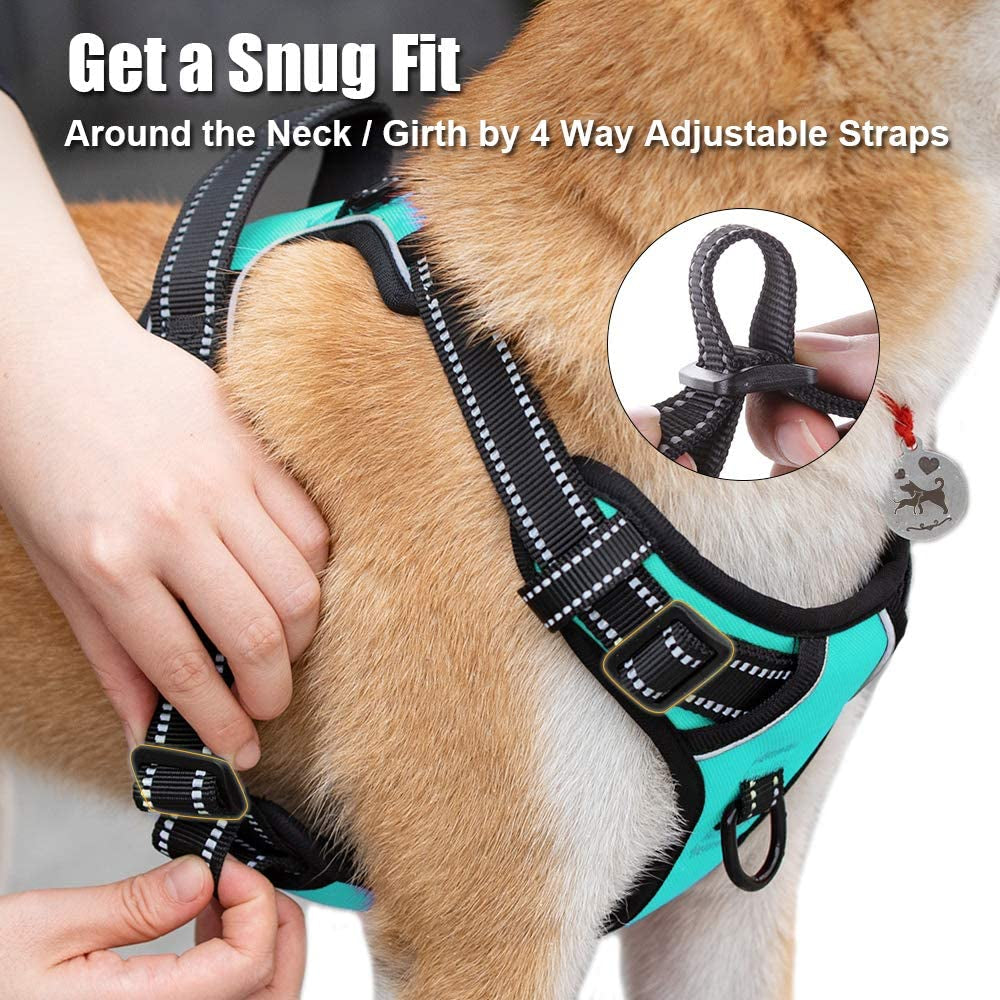 Reflective No-Pull Dog Harness - Adjustable Soft Padded Vest with Front and Back Leash Attachments and Control Handle for Small to Large Dogs (Mint Blue, Medium)