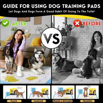 Dog Training Pads, XXL, 30 in X 36 In, 60 Count Disposable Dog Puppy Pee Pads