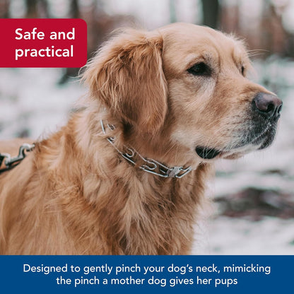 Ultra-Plus Prong Dog Training Collar, 4 Mm X 21" Neck Size, 4 Mm X 25" Chain Length, Steel Chrome Plated Dog Prong Collar, Pinch Collar for Dogs, Dog Correction Collar
