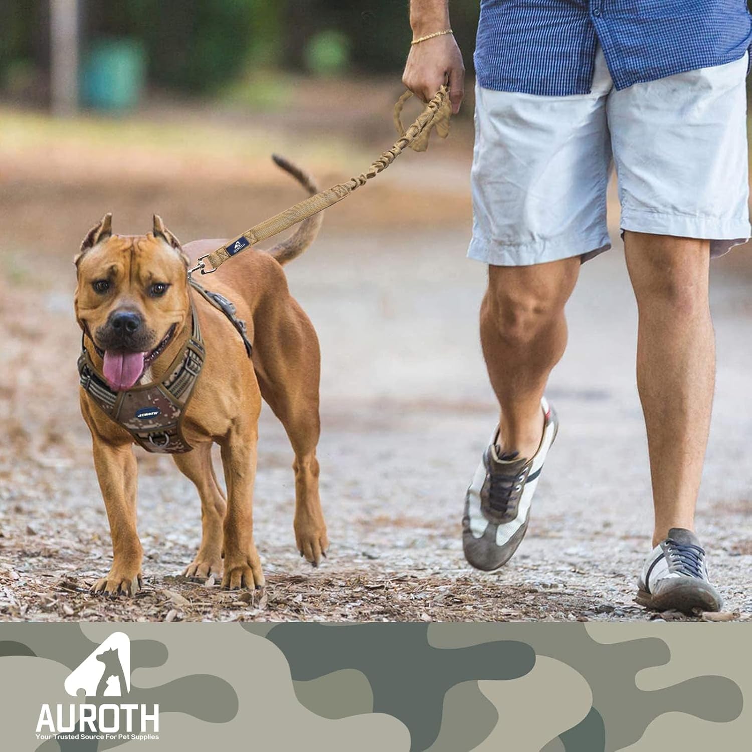 Heavy-Duty Bungee Dog Leash for Medium to Large Breeds, Shock Absorbing No-Pull Design with Car Seat Belt, Dual Padded Handles, Available in 4.5FT and 6FT Lengths