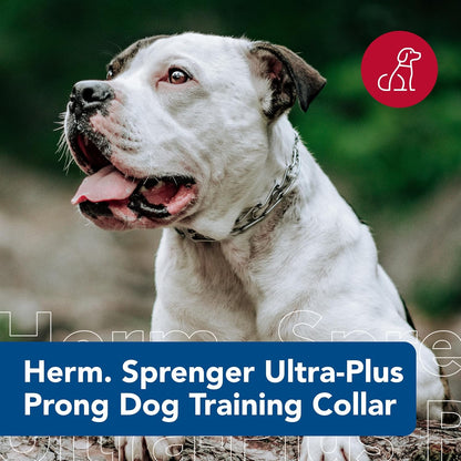 Ultra-Plus Prong Dog Training Collar, 4 Mm X 21" Neck Size, 4 Mm X 25" Chain Length, Steel Chrome Plated Dog Prong Collar, Pinch Collar for Dogs, Dog Correction Collar