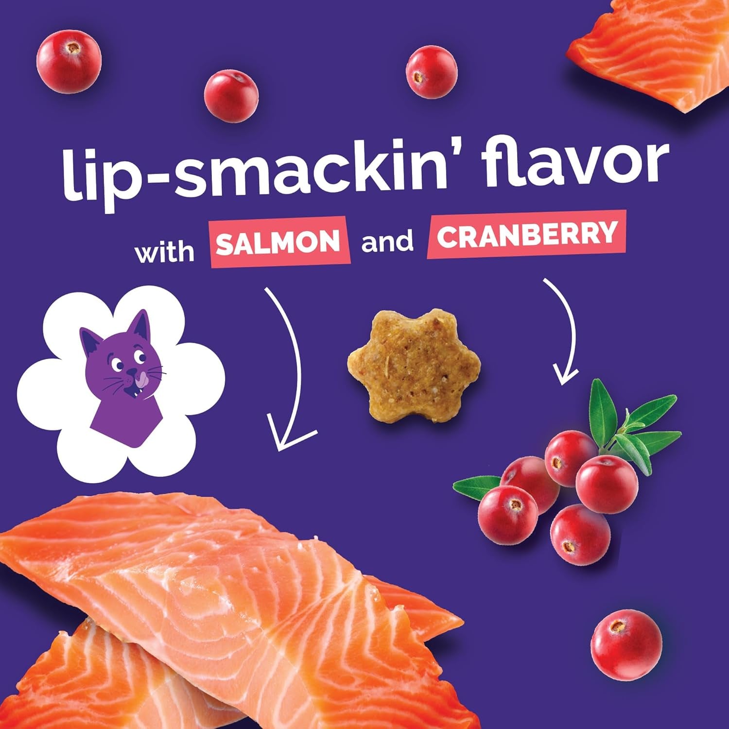 Deliciously Healthy Cat Treats - Low Calorie, Protein-Packed Crunchy Biscuits with Real Salmon & Cranberry - 2.5 Oz, Grain-Free Formula!