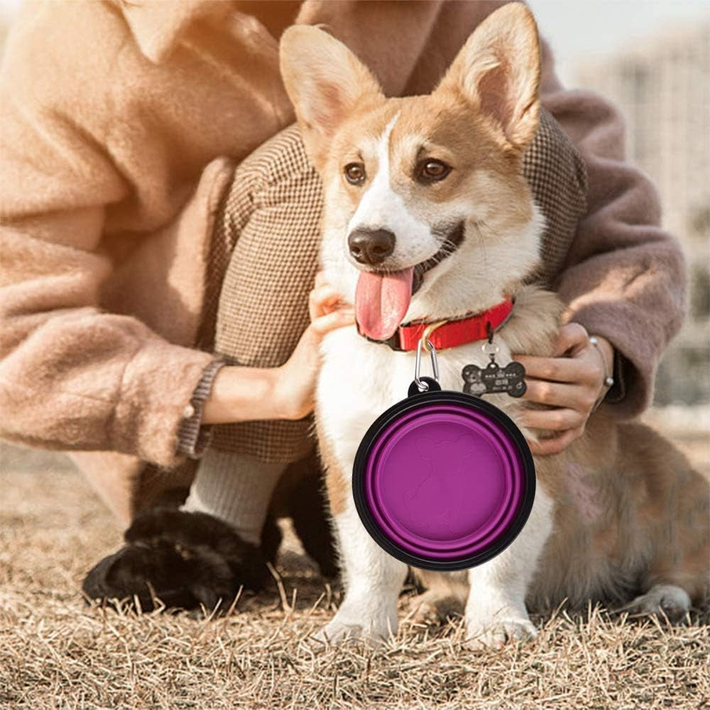 Large Collapsible Dog Bowls, 34Oz Travel Water Food Bowls Portable Foldable Collapse Dishes with Carabiner Clip, 2 Pack (Purple+Red)