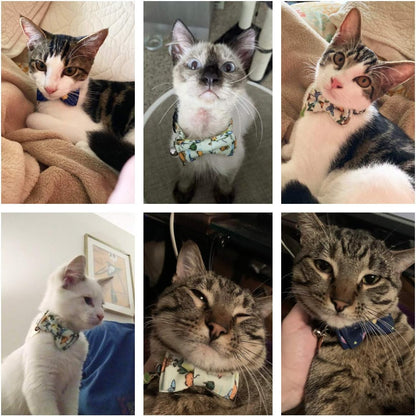 Stylish Breakaway Cat Collar Set with Removable Dinosaur Bow Tie and Bell - Perfect for Kittens and Cats (Adjustable 7.5" - 10.5")