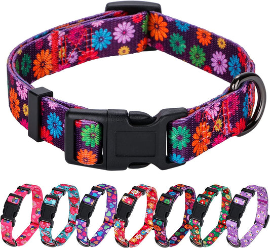 Large Dark Purple Dog Collar for Girls with Fall Daisy Pattern and Colorful Floral Print