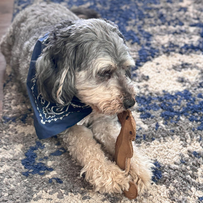 Dura-Fused Squirrel Dog Toy - Durable Leather & Jute Fabric for Small to Medium Chewers, Interactive Fun with Built-in Squeaker