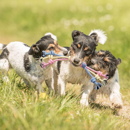Ultimate Teething Puppy Chew Toys Set for Dental Health & Interactive Fun - Includes Storage Basket!