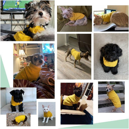 Knitted Winter Sweater for Small Dogs and Cats - X-Small, Yellow