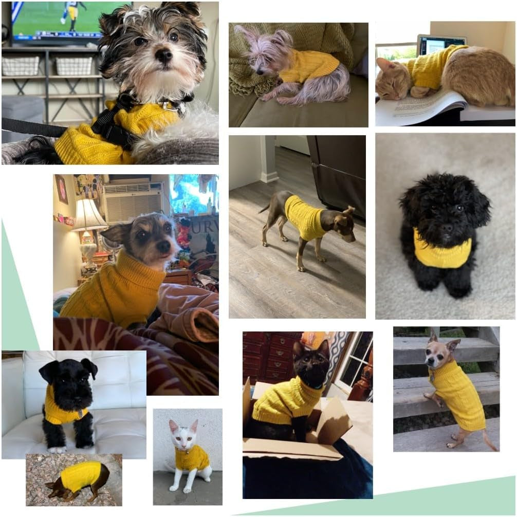 Knitted Winter Sweater for Small Dogs and Cats - Yellow