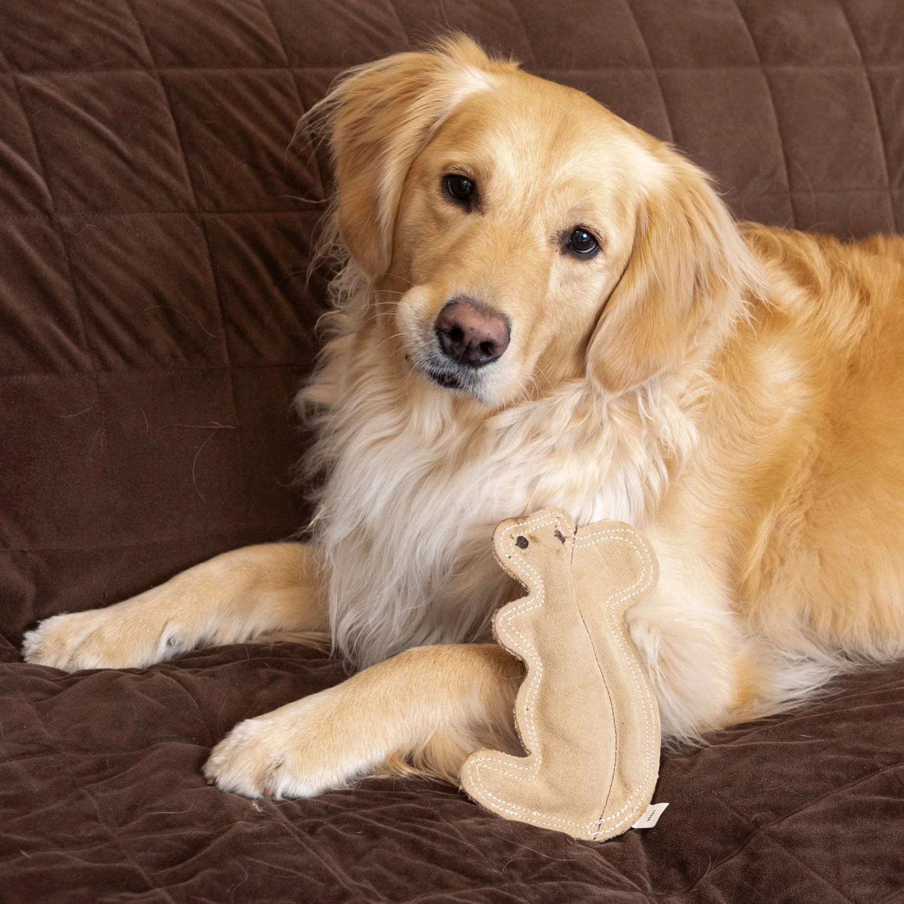 Dura-Fused Squirrel Dog Toy - Durable Leather & Jute Fabric for Small to Medium Chewers, Interactive Fun with Built-in Squeaker