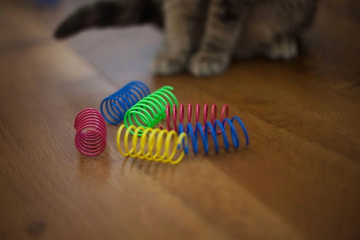 Wide Colorful Springs Cat Toy