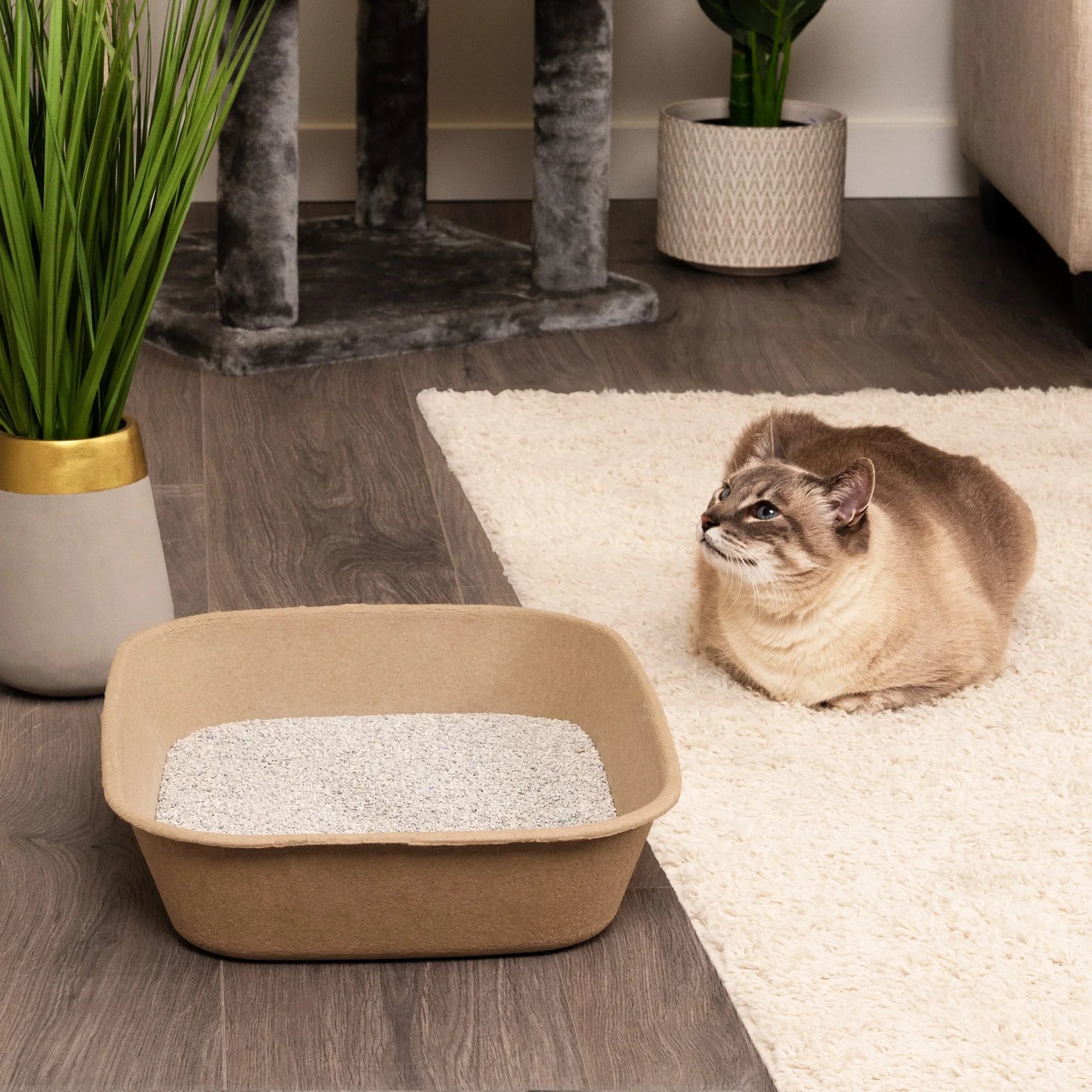 Eco-Friendly Large Cat Litter Box Sifter with Scoop - 6 Pack for Effortless Cleanup!