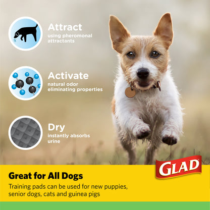 Giant Size Activated Charcoal Leak-Resistant Training Pads for Dogs, 30X36, 24 Count